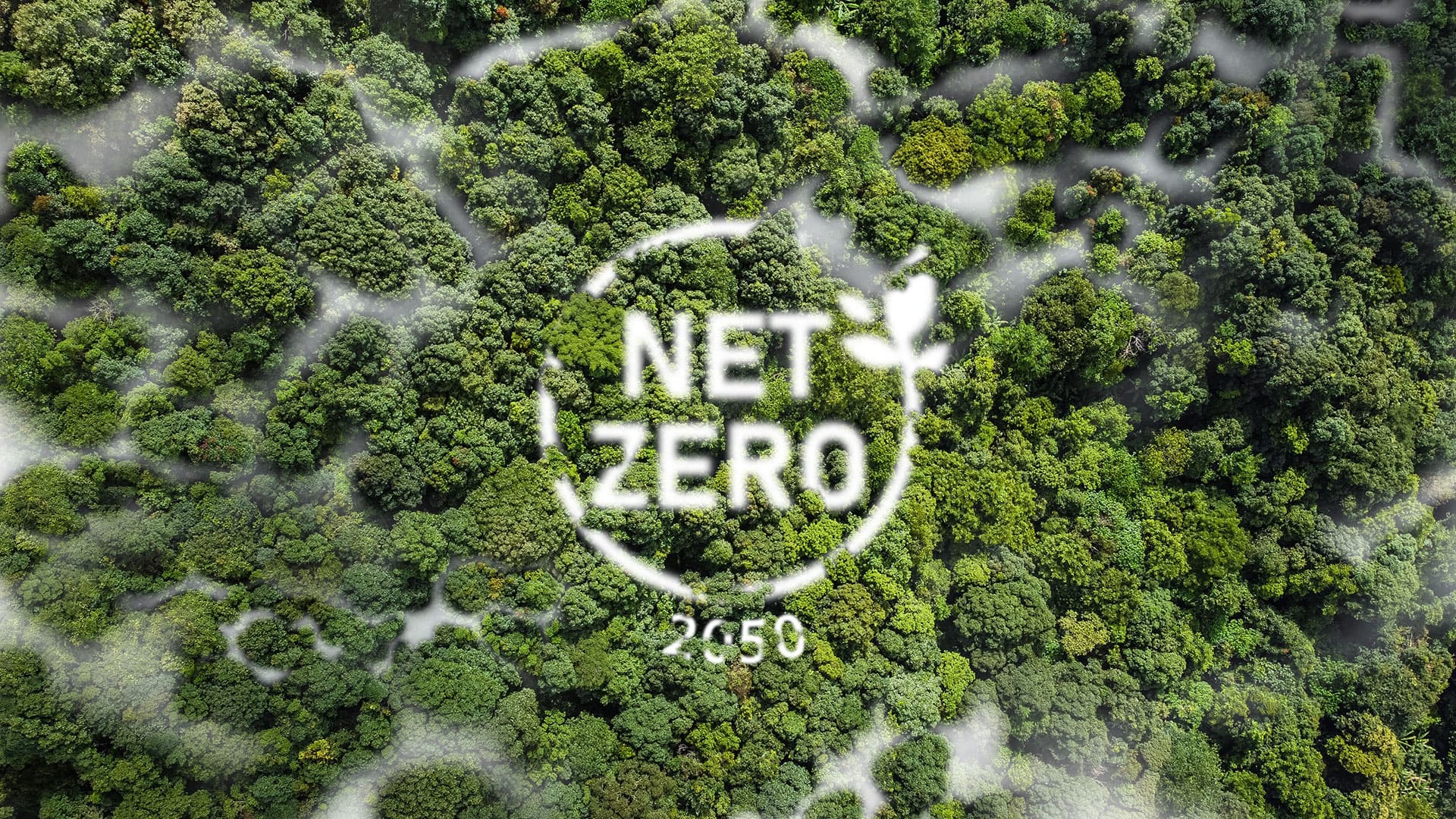 Our Commitment to Sustainability and Community